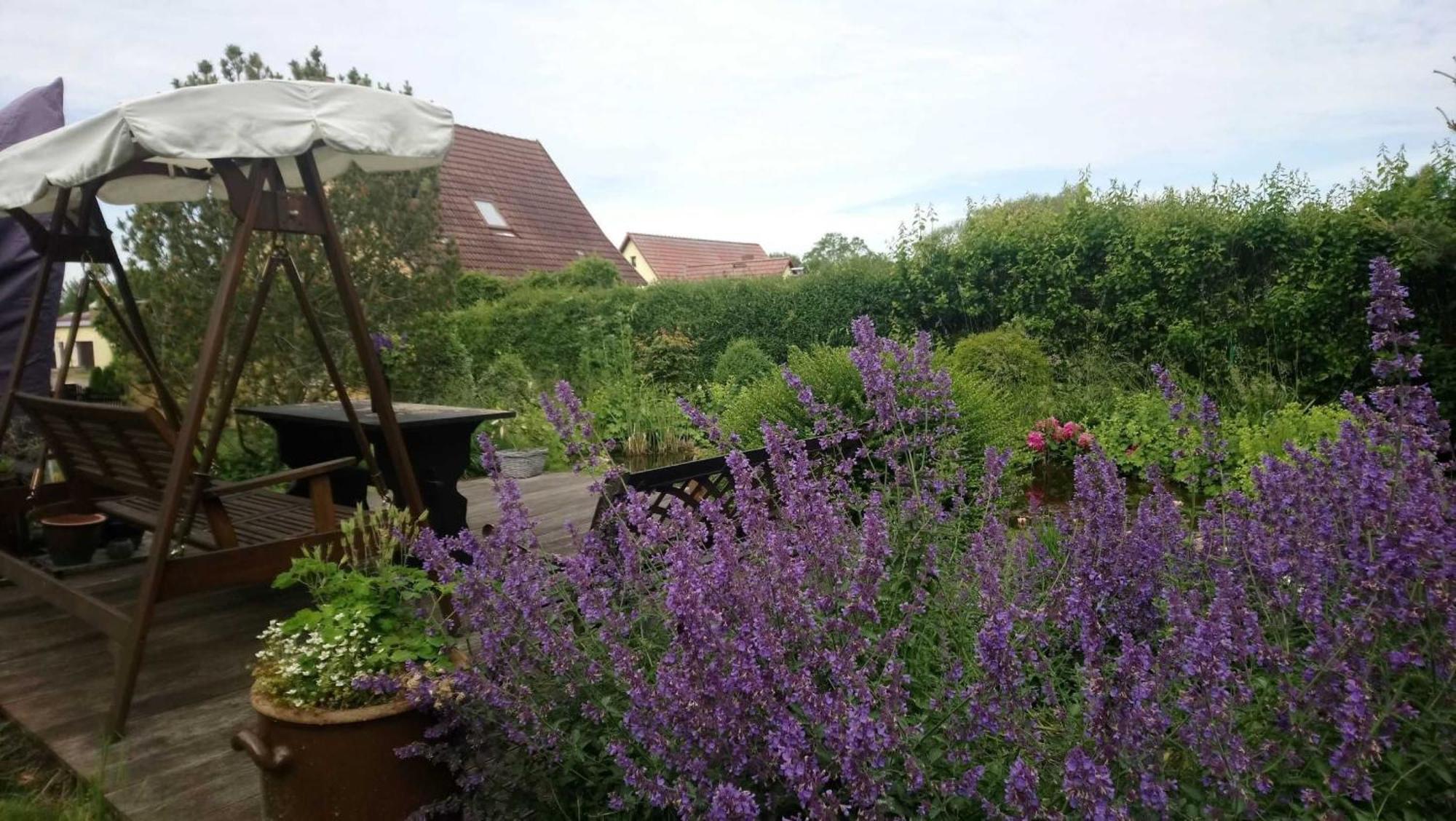 Ferienwohnung Teschow Teschow  Екстер'єр фото